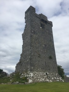 The front of a typical Irish tower house. The back half has fallen off.