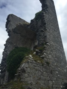 One half of an ancient Irish tower house still stands, the interior now visible and covered in plant life