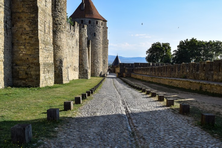 Carcassonne 23