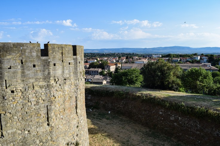 Carcassonne 24